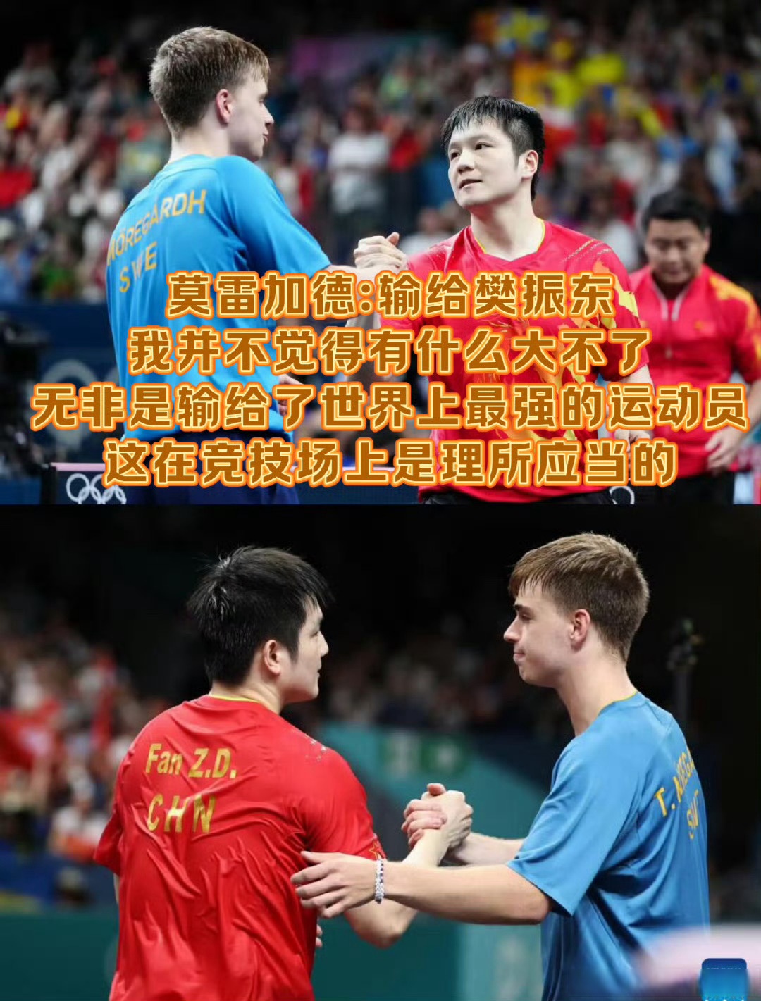 法国队鏖战日本队，樊振东关键制胜