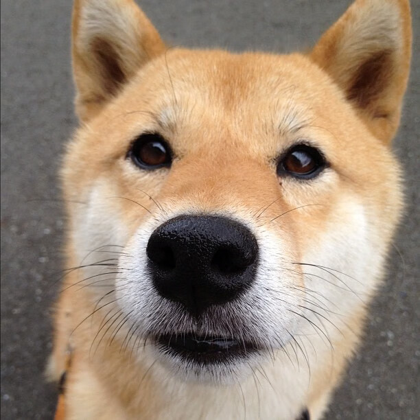 绝境之舞，命运之光，辛杜一锤定音，丹麦队上演不可能之逆转