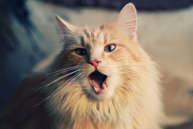 拟定的文章标题