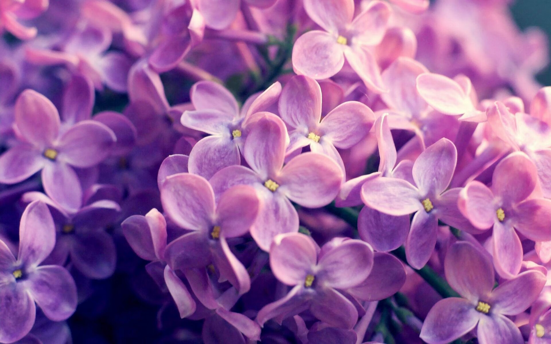 跨界之战,AC米兰篮球革命,巴尔韦德末节神迹压哨征服南非