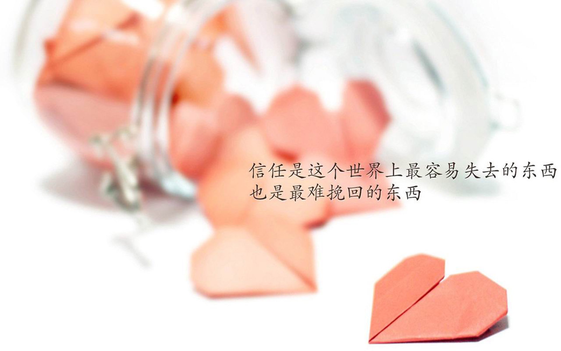 墨韩鏖战，一锤定音！托尼绝杀闪耀世界杯赛场