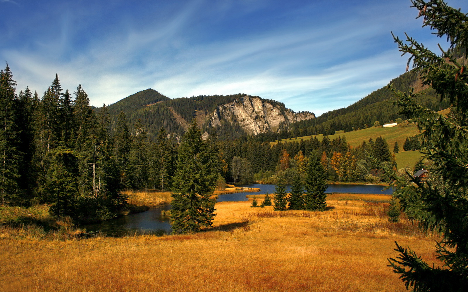 塔图姆41分王者之夜，火箭加时踏平绿军，一场属于个人的丰碑与团队的溃败