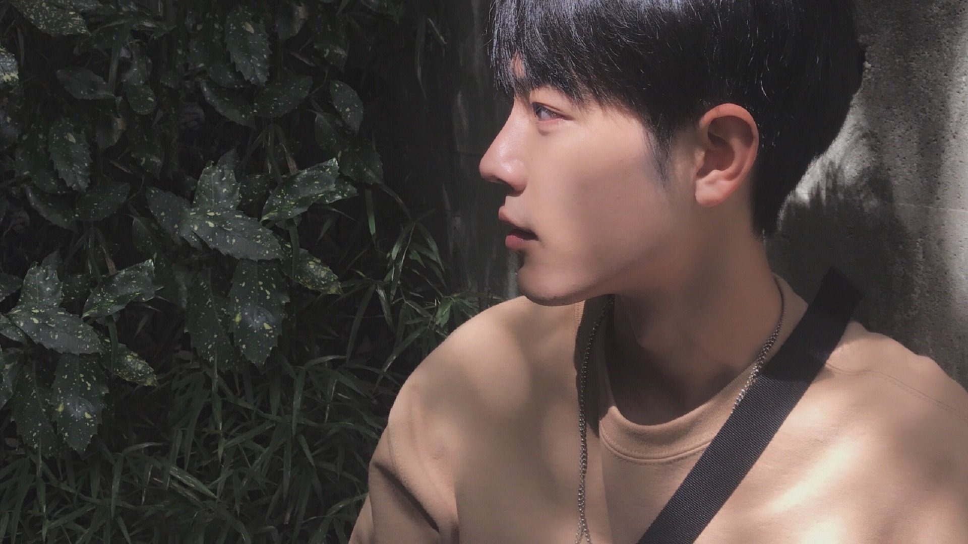 冰与火之歌，卡塔尔沙漠风暴如何冻结北欧神话—美加墨世界杯焦点战深度解析