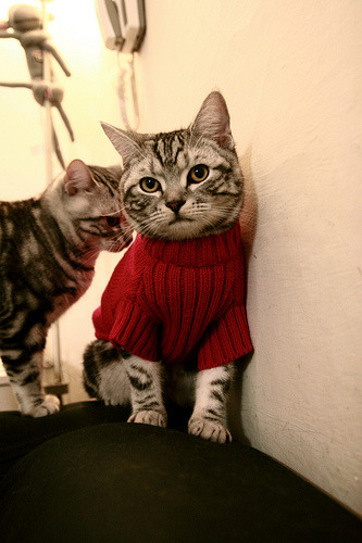 奥运周期关键战爆冷,挪威压哨绝杀,英格兰梦碎终场哨