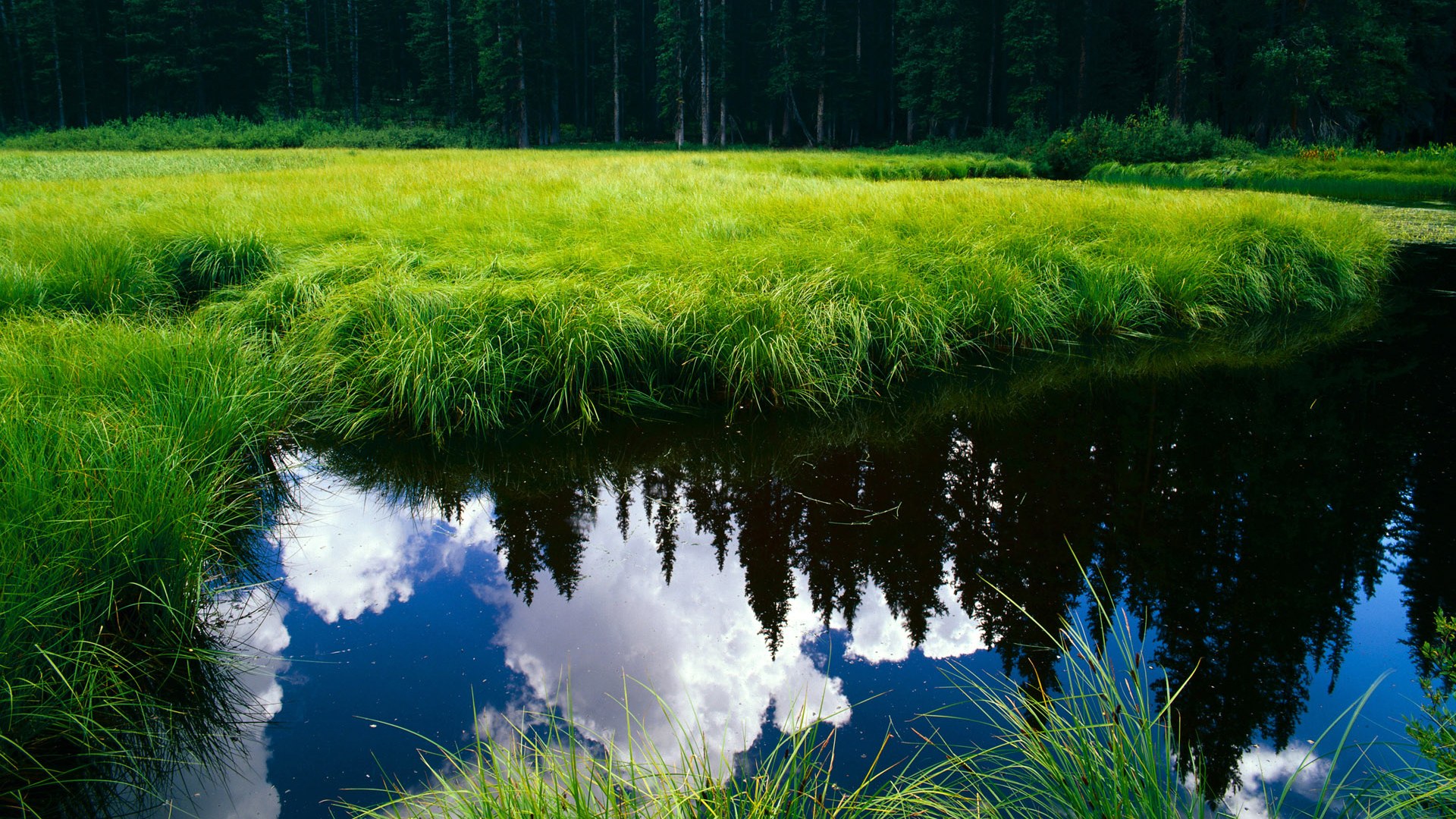 天山脚下，钢铁巨塔，戈贝尔在年度焦点之战中接管比赛的艺术