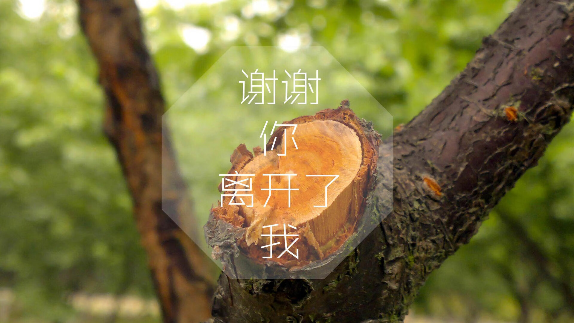 逆流之刃,2026世界杯G组焦点战,京多安以钢铁心脏撕裂美利坚防线