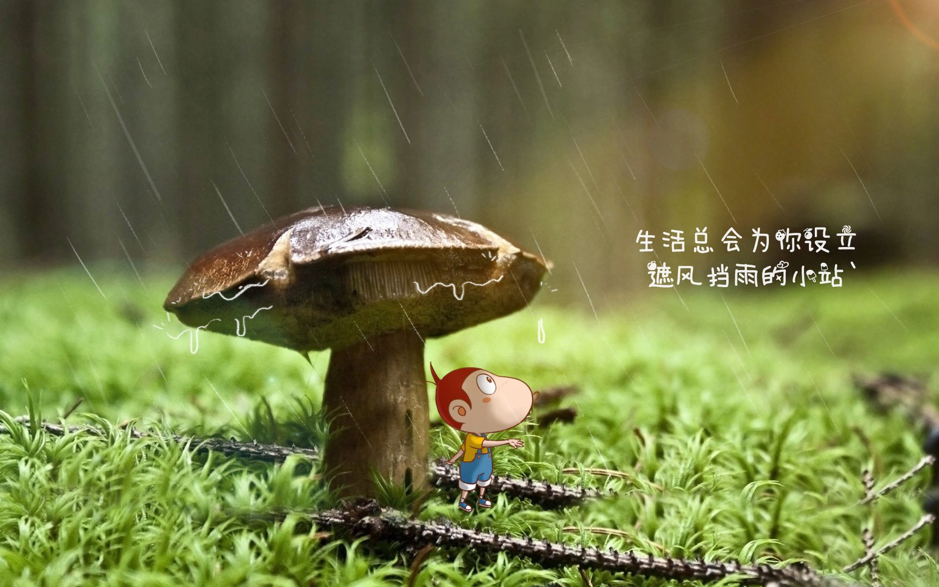 致命一击的轮回，当桑巴舞步碾过太极旗，苏亚雷斯的最后一滴泪落在美加墨