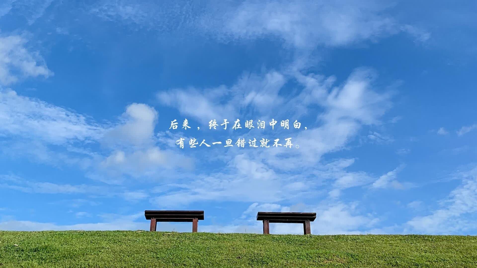 里斯本之刃,2026世界杯E组,坎塞洛的独舞与葡萄牙的横扫宣言